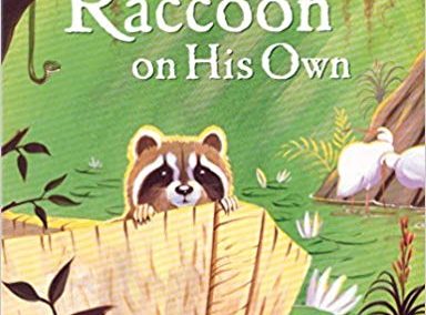 Raccoon On His Own